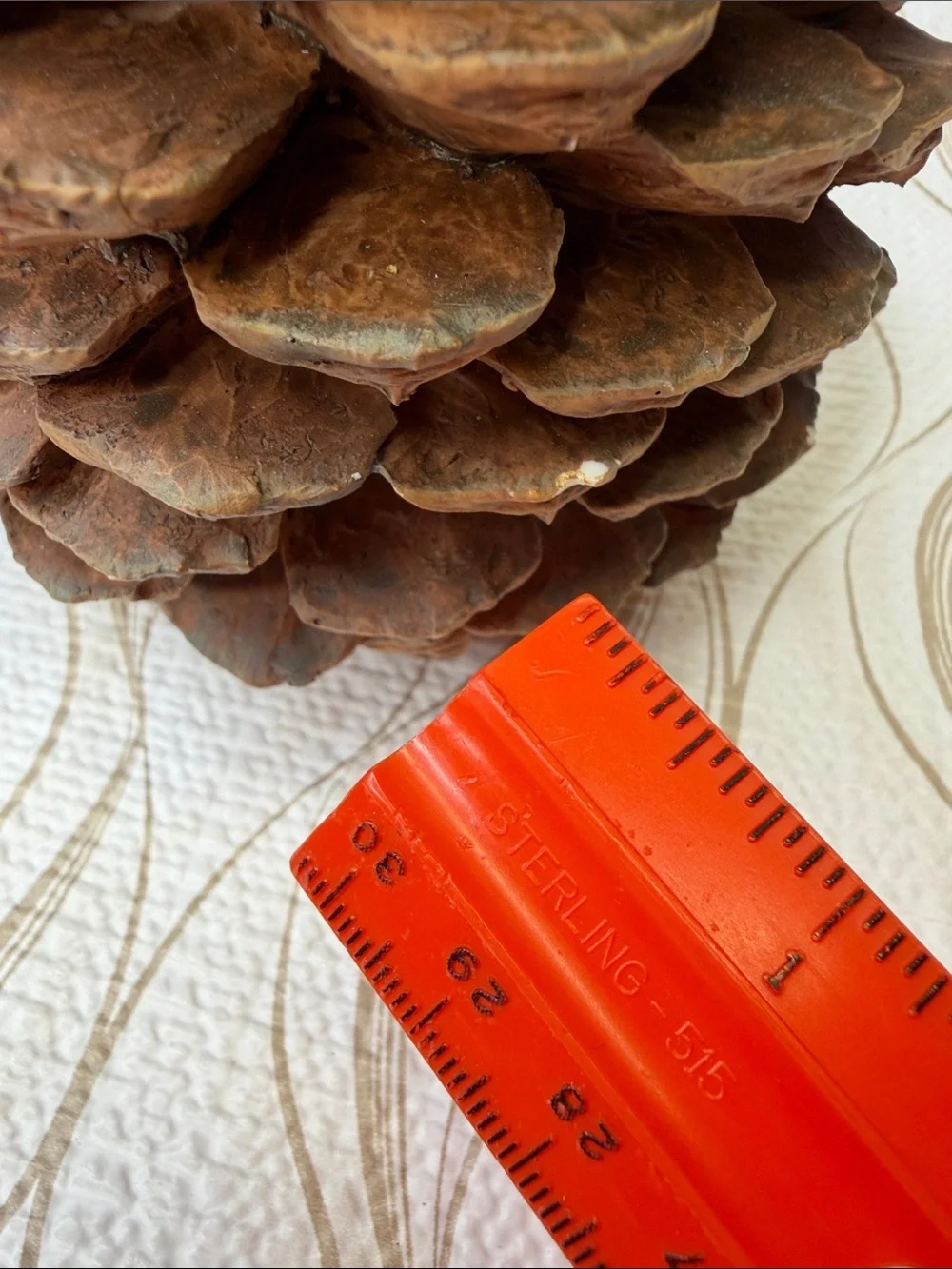 Brown Pinecone Candle Holders - Set of 2